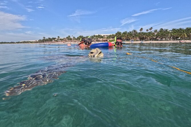 Private Snorkeling with Sea Turtles in Akumal Beach - Getting ready: mask, snorkel, and life jacket