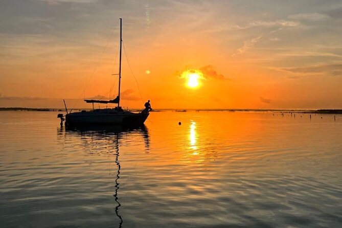 Private Sunrise Tour with Breakfast on Board - Bird Island at First Light