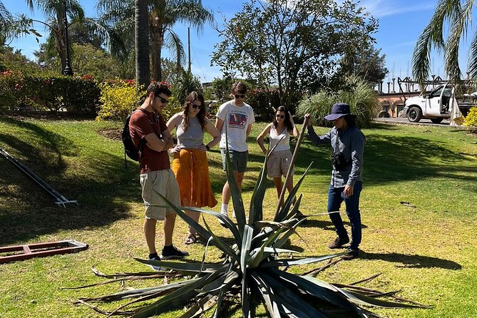 Private Tequila Tour with Local Expert - Casa Marengo offers a second family perspective