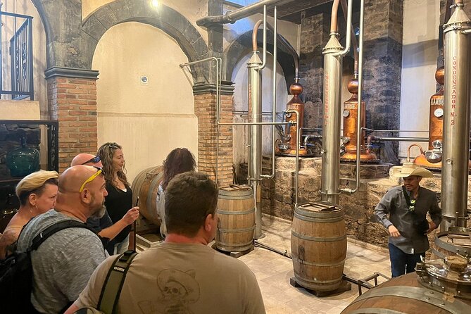 Private Tequila Tour with Local Expert - MUNAT explains the national drink
