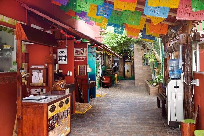Private Tour: 5-Hour Cozumel Sightseeing with Private Driver and Tequila Tasting - Why a private Cozumel tour can be worth five hours