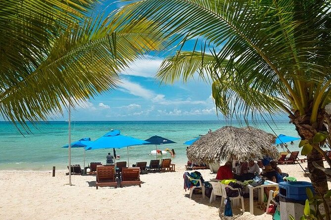Private Tour: 5-Hour Cozumel Sightseeing with Private Driver and Tequila Tasting - Tequila tasting at Mi Mexico Lindo