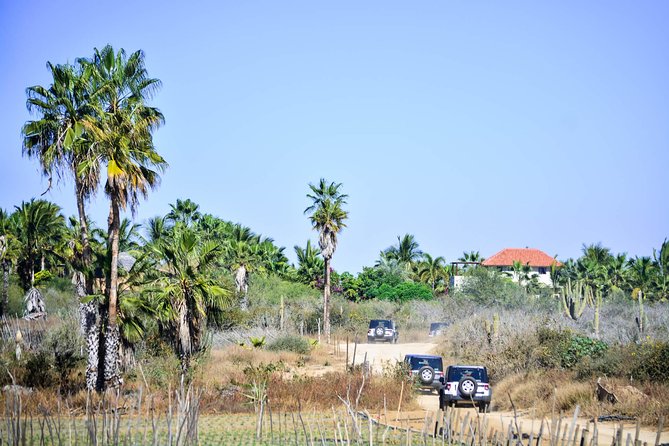 Private Tour Baja Jeep 4x4 Adventure at Los Cabos - Fox Canyon and Rancho Ecologico Sol de Mayo