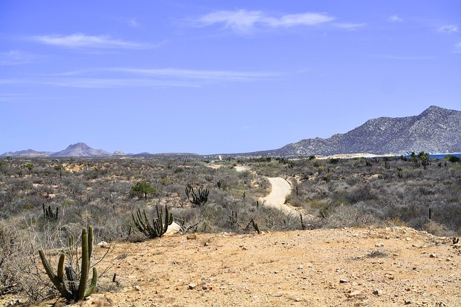 Private Tour Baja Jeep 4x4 Adventure at Los Cabos - The Tropic of Cancer stop