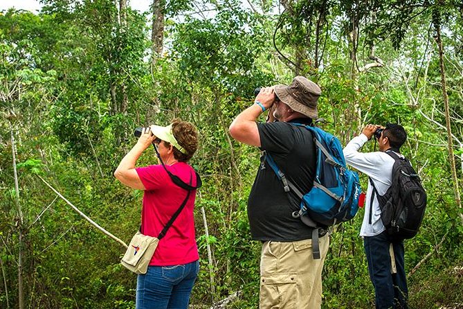 Private Tour: Birdwatching from Cancun - Why this Cancun bird tour is worth an early alarm
