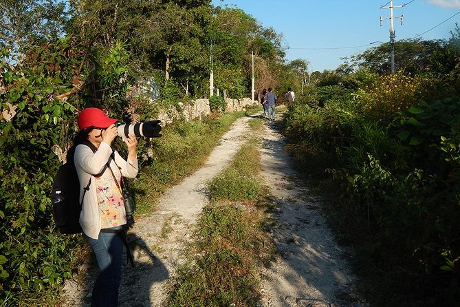 Private Tour: Birdwatching from Cancun - Is $525 good value?