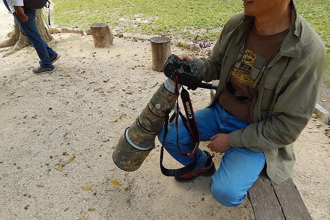 Private Tour: Birdwatching from Cancun - The 5am pickup and the route toward Puerto Morelos