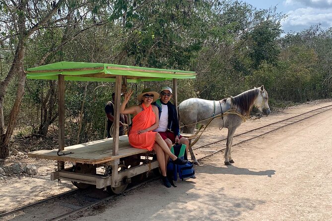 Private Tour Cenotes of Mucuyche & Santa Barbara in one day - Private guide, shared cenotes: understand the distinction
