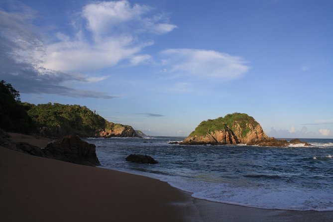 Private Tour Seven Bays, Huatulco HT - Wildlife sightings are possible, not guaranteed