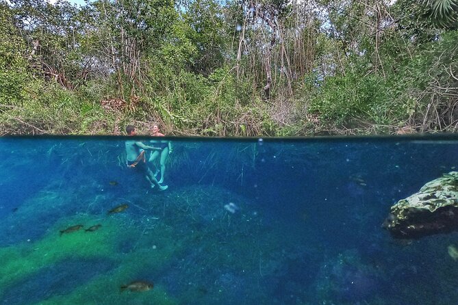 Private Tour The Best Cenotes in Tulum Riviera Maya - Cenote Taak Bi Ha: the cave experience