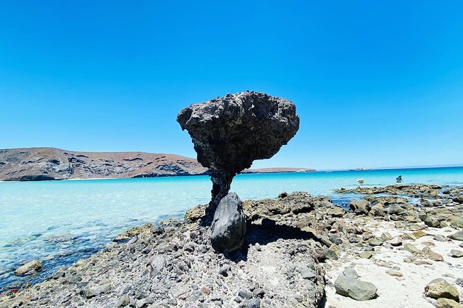 Private Tour to Balandra, La Paz and Todo Santos - Why this private Baja day trip works