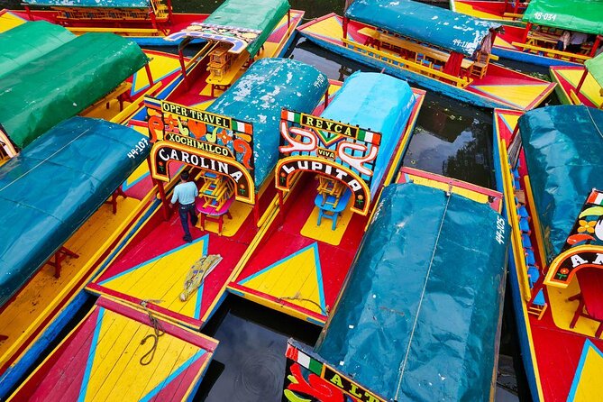 Private Tour: Xochimilco, Coyoacan and Frida Kahlo Museum - Five things to know before you go