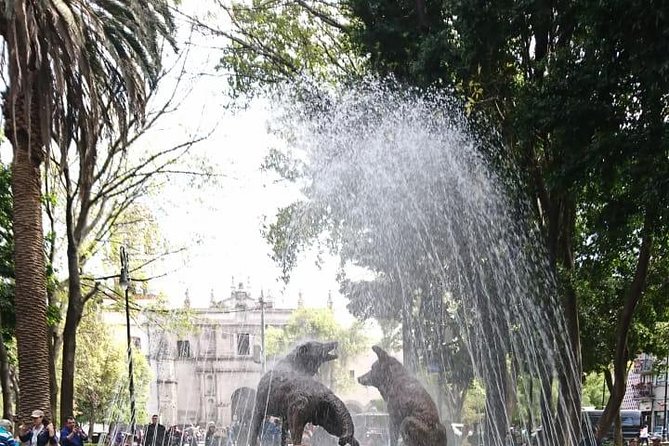 Private Tour: Xochimilco, Coyoacan and Frida Kahlo Museum - UNAM’s Central Library and the story told in tile