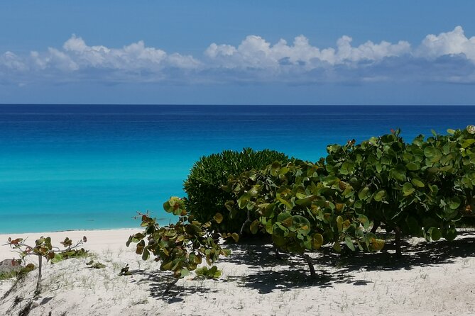 Private Transfer-Cancun Airport-Playa del Carmen One Way - The One-Hour Ride Toward Playa del Carmen