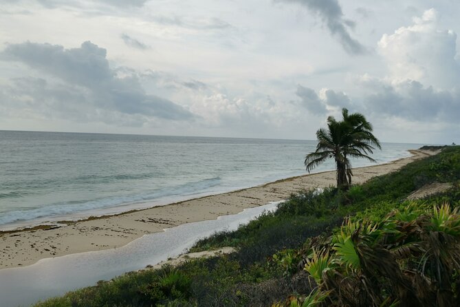 Private Transfer-Cancun Airport-Playa del Carmen One Way - Who Should Use This Transfer?