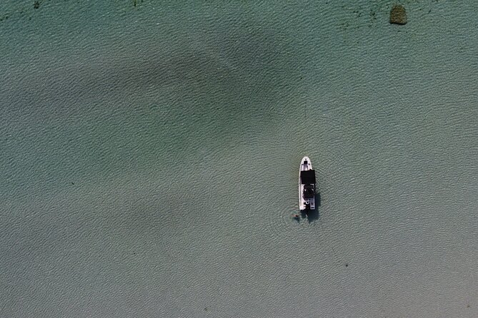Private Trip Espiritu Santo Island - Exploring bays, beaches, birds, and reefs