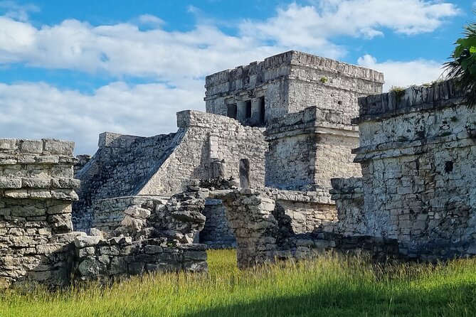 Private Tulum Experience & Cenote - Reading Tulum without rushing past it
