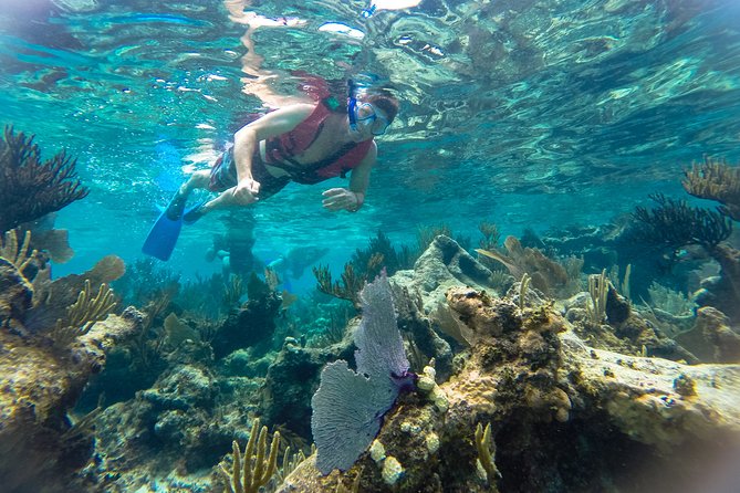 Private Tulum Ruins, Reef Snorkel & Cenote Adventure - Tulum ruins with the Caribbean at your back