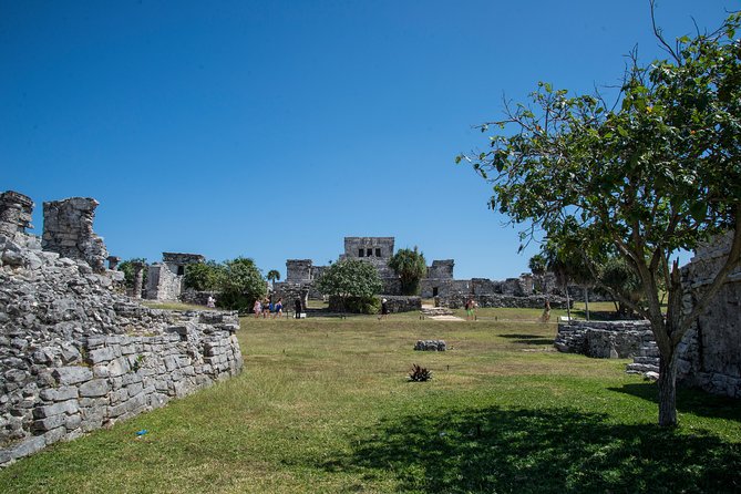Private Tulum Ruins, Turtles in Akumal and Cenote Adventure - A freshwater cenote beneath the forest