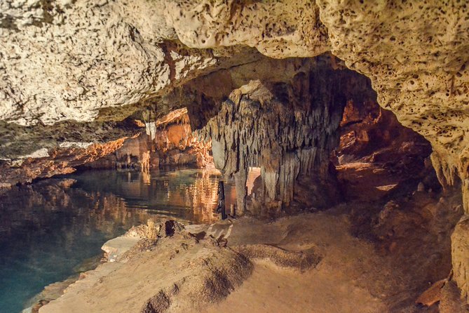 Private Tulum Ruins, Turtles in Akumal and Cenote Adventure - Private transport makes the long day easier