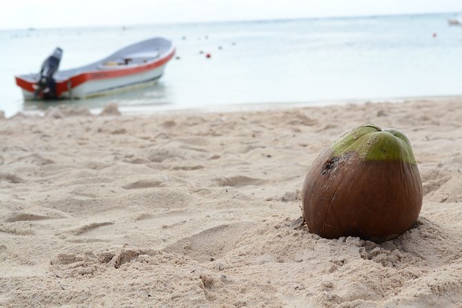 Private Turtles & Cenotes Adventure - From salt water to a Yucatan cenote