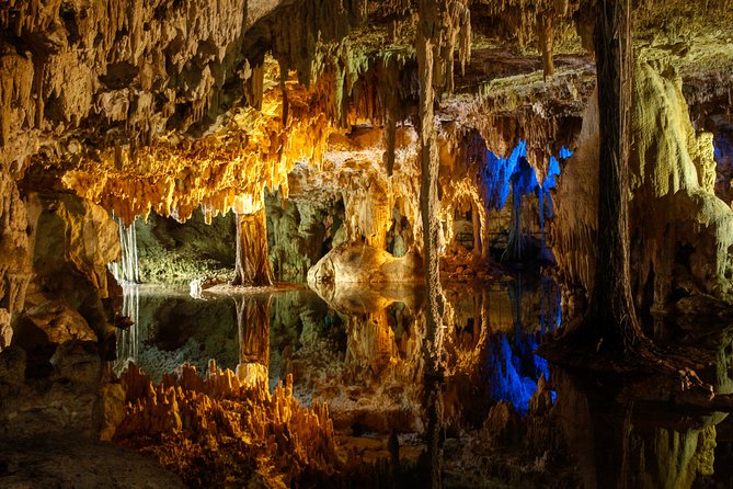 Private Turtles & Cenotes Adventure - Timing, weather, and the half-day advantage