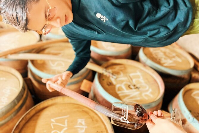 Private Wine Tour at Valle de Guadalupe (A wine tasting included). - What Makes This Tour Worth Considering