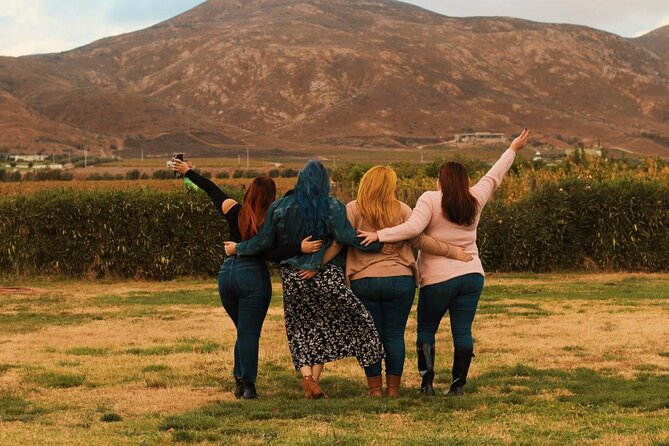 Private Wine Tour at Valle de Guadalupe (A wine tasting included). - Guides Who Shape the Experience