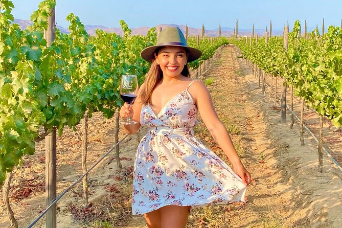 Private Wine Tour at Valle de Guadalupe (A wine tasting included). - Choosing Two or Three Wineries