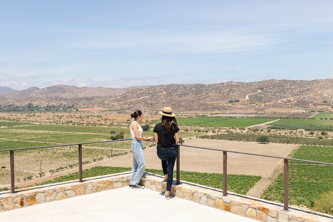 Private Wine Tour by Ansell Tours - Finca La Carrodilla: garden, farm, and terrace views