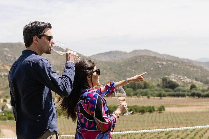 Private Wine Tour by Ansell Tours - Vina de Frannes: open views and Cabernet Franc