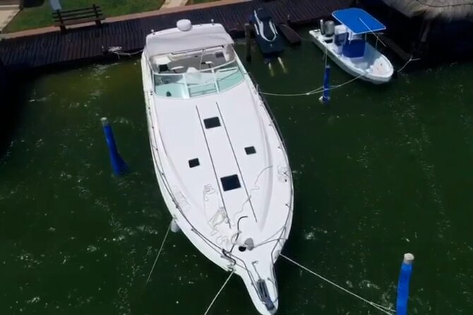 Private Yacht 46ft Sea Ray Snorkel up to 15 pax 23P2 - The onboard mood: music, drinks, and crew service