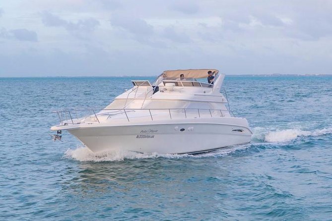 Private Yacht Rental Sea Ray 46ft Cancun 23P3 - Food, drinks, music, and special occasions