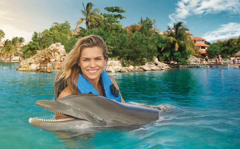 Puerto Aventuras: Dolphin Swim, Sea Lions, Manatees, & Lunch - Key points at a glance