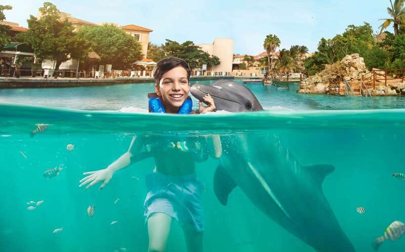 Puerto Aventuras: Dolphin Swim, Sea Lions, Manatees, & Lunch - What the $135 program actually includes