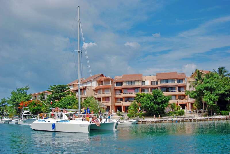Puerto Aventuras: Dolphin Swim, Sea Lions, Manatees, & Lunch - Group size and how the day feels