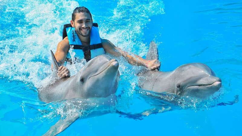 Puerto Aventuras: Dolphin Swim, Sea Lions, Manatees, & Lunch - The briefing and getting into the water