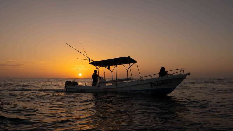 Puerto Escondido: Boat Tour among Dolphins and Turtles - Watching dolphins play beside the boat