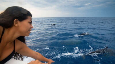 Puerto Escondido: Boat Tour among Dolphins and Turtles