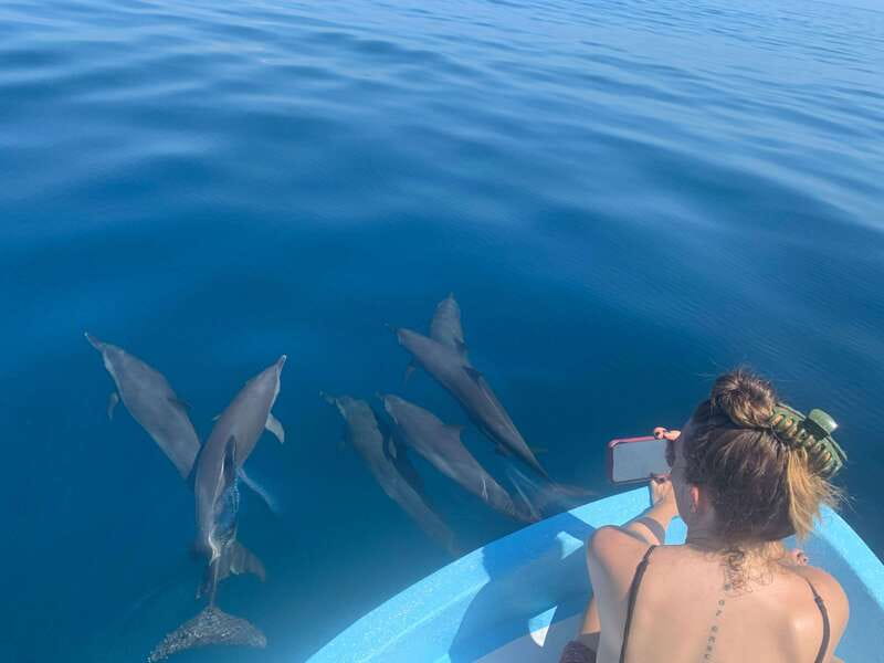 Puerto Escondido: Boat Tour to see Dolphins and Marine Life - Key points at a glance