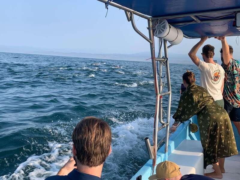 Puerto Escondido: Boat Tour to see Dolphins and Marine Life - Leaving from Puerto Angelito Beach