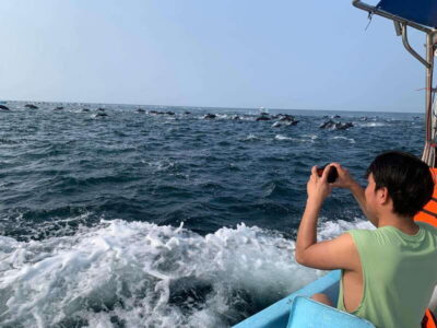 Puerto Escondido: Boat Tour to see Dolphins and Marine Life