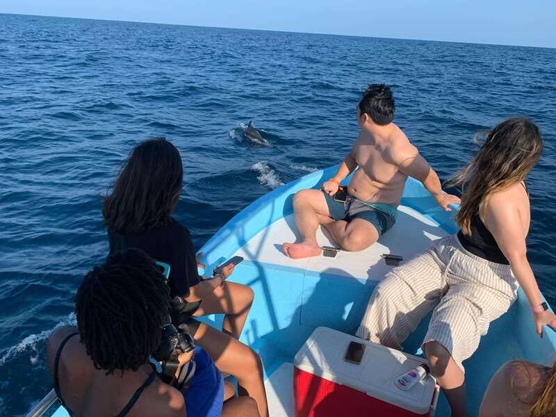 Puerto Escondido: Boat Tour to see Dolphins and Marine Life - Snorkeling near the shore