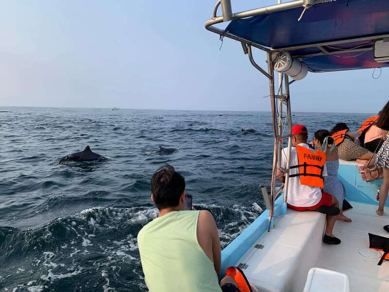 Puerto Escondido: Boat Tour to see Dolphins and Marine Life - Is $46 a fair price?