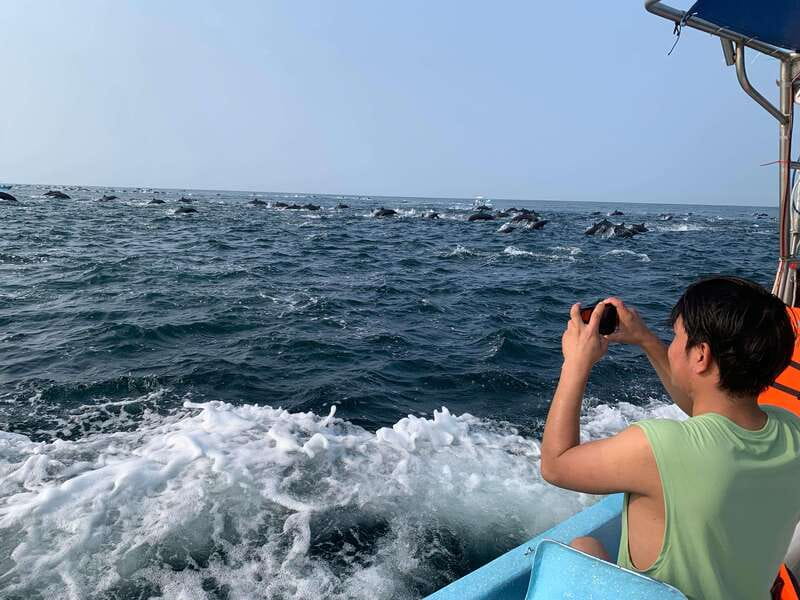 Puerto Escondido: Boat Tour to see Dolphins and Marine Life - Searching for dolphins in open water