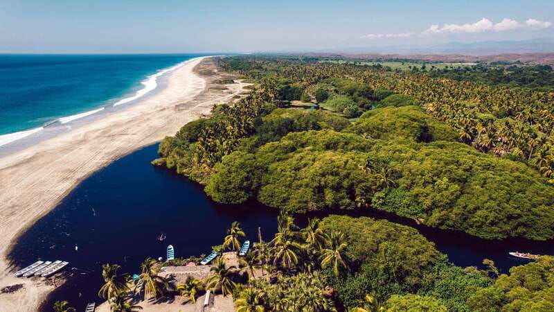 Puerto Escondido: Oaxaca Coast Wildlife Ecotour - What makes this Oaxaca coast tour worth your time