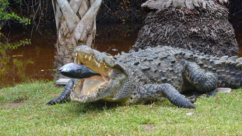 Puerto Escondido: Oaxaca Coast Wildlife Ecotour - A quick look at famous Zipolite