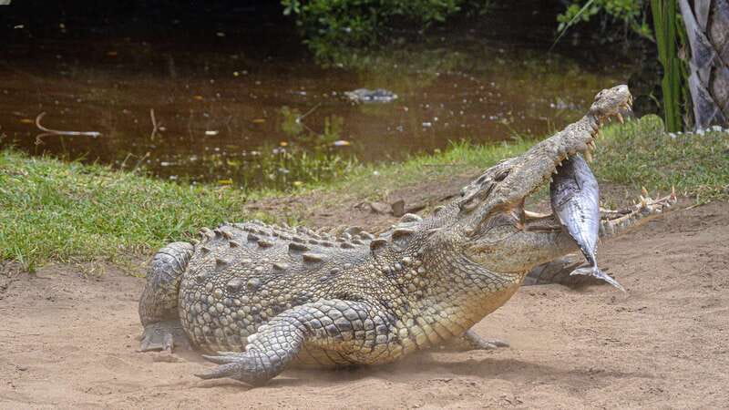 Puerto Escondido: Oaxaca Coast Wildlife Ecotour - How much value do you get for $50?