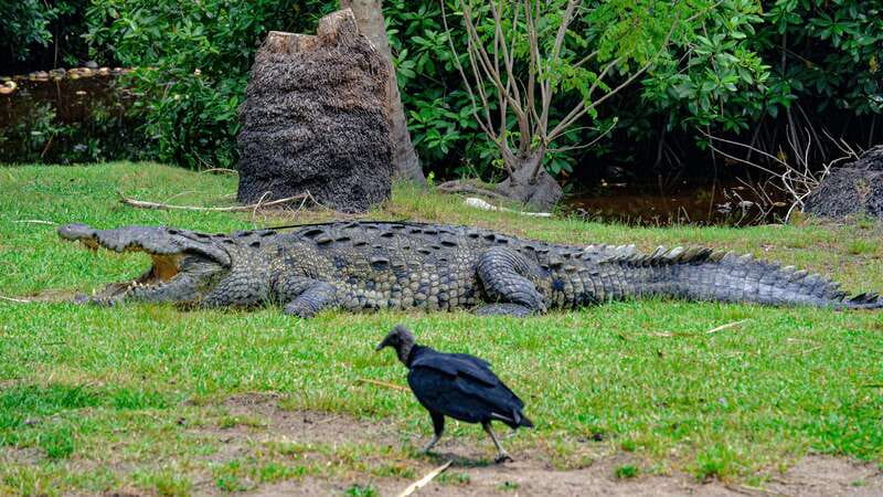 Puerto Escondido: Oaxaca Coast Wildlife Ecotour - The guide can shape the whole day