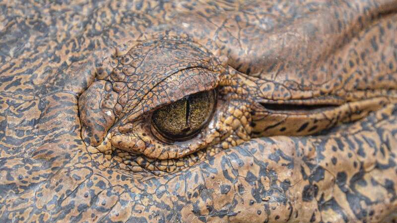 Puerto Escondido: Oaxaca Coast Wildlife Ecotour - What to pack for this particular route